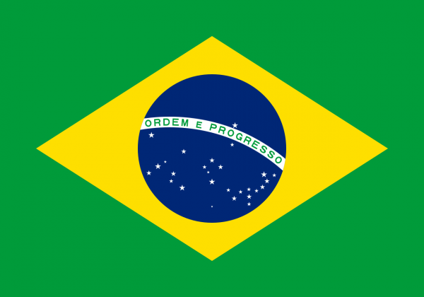 Бразилия намерена запустить национальную криптовалюту в следующем году