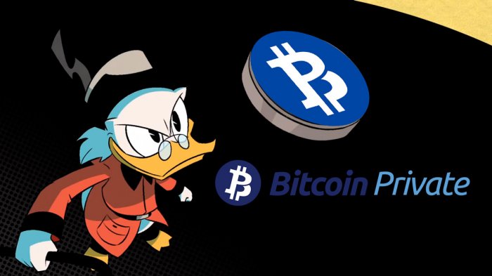 Разработчики Bitcoin Private увеличили максимальную эмиссию монет вопреки whitepaper