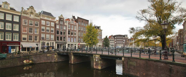 Планируемые властями Нидерландов крипто-лицензии могут привести к краху стартапов