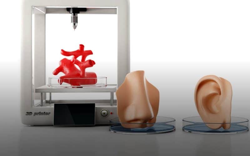 3D-принтер с кровяными сосудами под фрезами и изготовленными носом и ушами человека