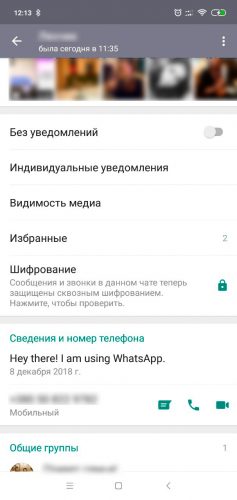 Пять прикольных и полезных секретов WhatsApp рис 3