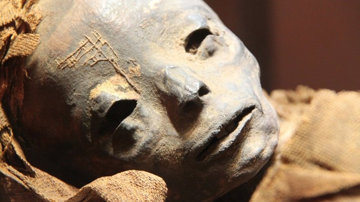 В 300 км к югу от Каира нашли саркофаги с 40 мумиями разного пола, возраста и социальной принадлежности