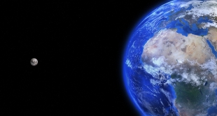 Google выпустила дудл в честь Дня Земли