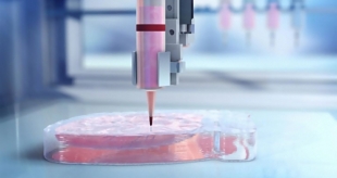 Появился новый метод 3D-печати человеческих органов