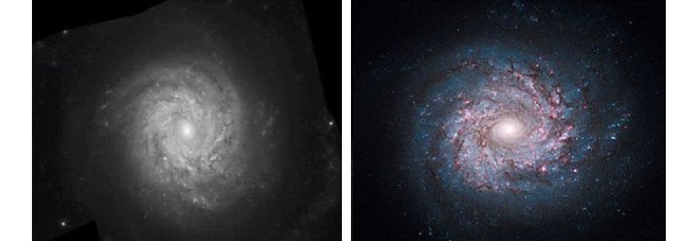 Спиральная галактика NGC 3982 в созвездии Большая Медведица в исходном черно-белом и цветном изображении / © NASA