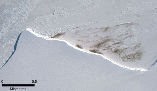 Спутниковые изображения места обитания пингвинов в колонии Халли-Бей, на которых видны следы гуано / © Maxar Company