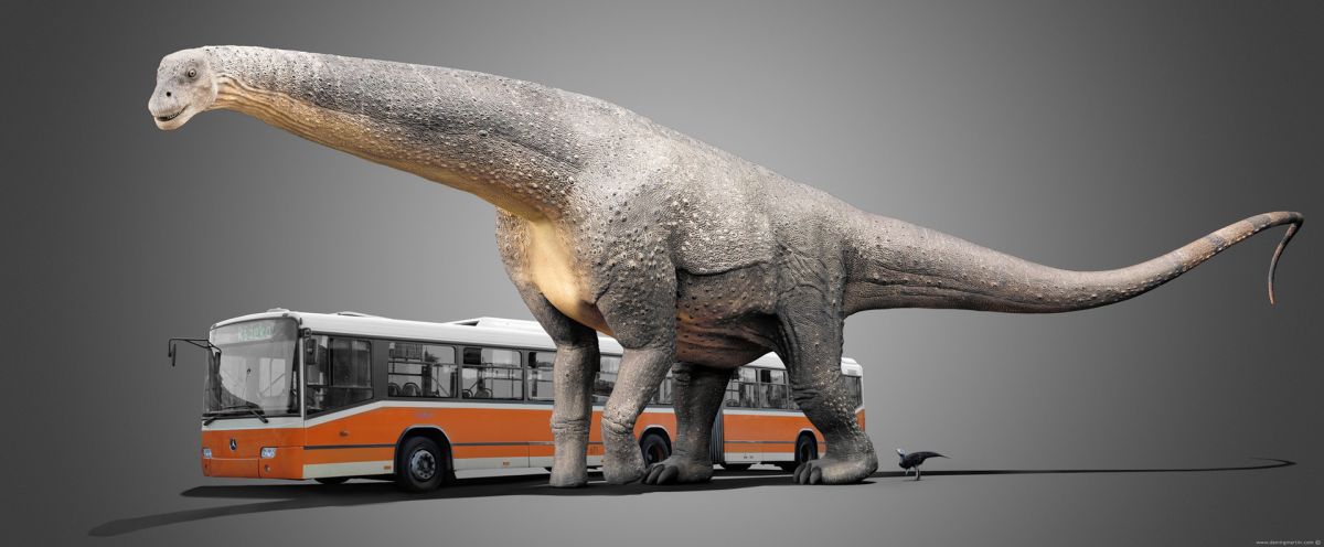 Аргентинозавр в сравнении с автобусом / © Damir G. Martin