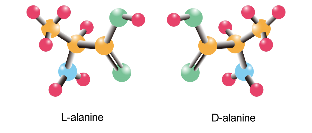 L-и D-изомеры аланина, одной из простейших аминокислот. Они поворачивают плоскость проходящего сквозь них поляризованного света (каждый в свою сторону), а под действием циркулярно поляризованного излучения – понемногу разрушаются.