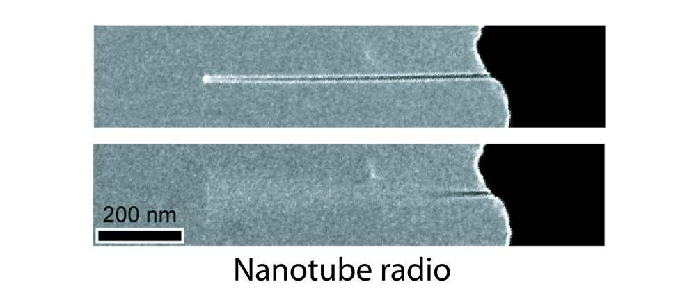 Принимаемые радиоволны заставляют антенну нанорадио вибрировать / © nsf.gov