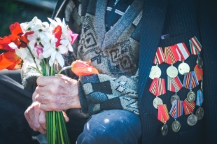 Иркутские айтишники создали программу для поиска информации о ветеранах ВОВ