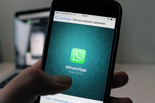 Информация о темном режиме в WhatsApp подтвердилась