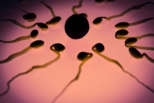 В США тестируют контрацептивные украшения