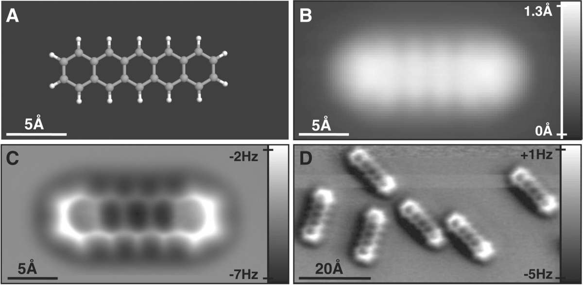 Молекула пентацена. А – модель молекулы. В – изображение, полученное сканирующим туннельным микроскопом. С – изображение, полученное атомно-силовым микроскопом. D –несколько молекул (АСМ). А, B и C в одном масштабе. / © Science