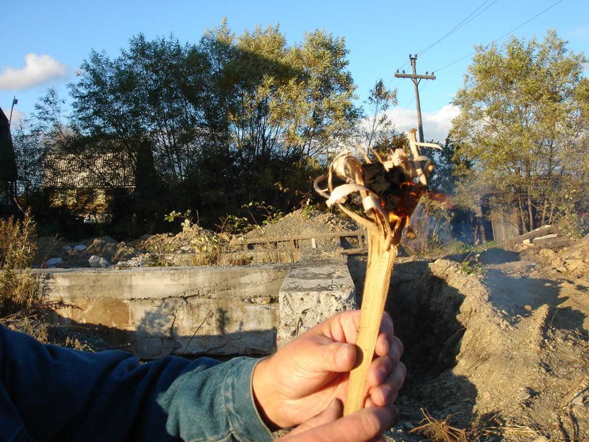 Современная лучина для разжигания костра. Очень вероятно, что наши предки использовали такую же. <span>/ © </span>popgun.ru