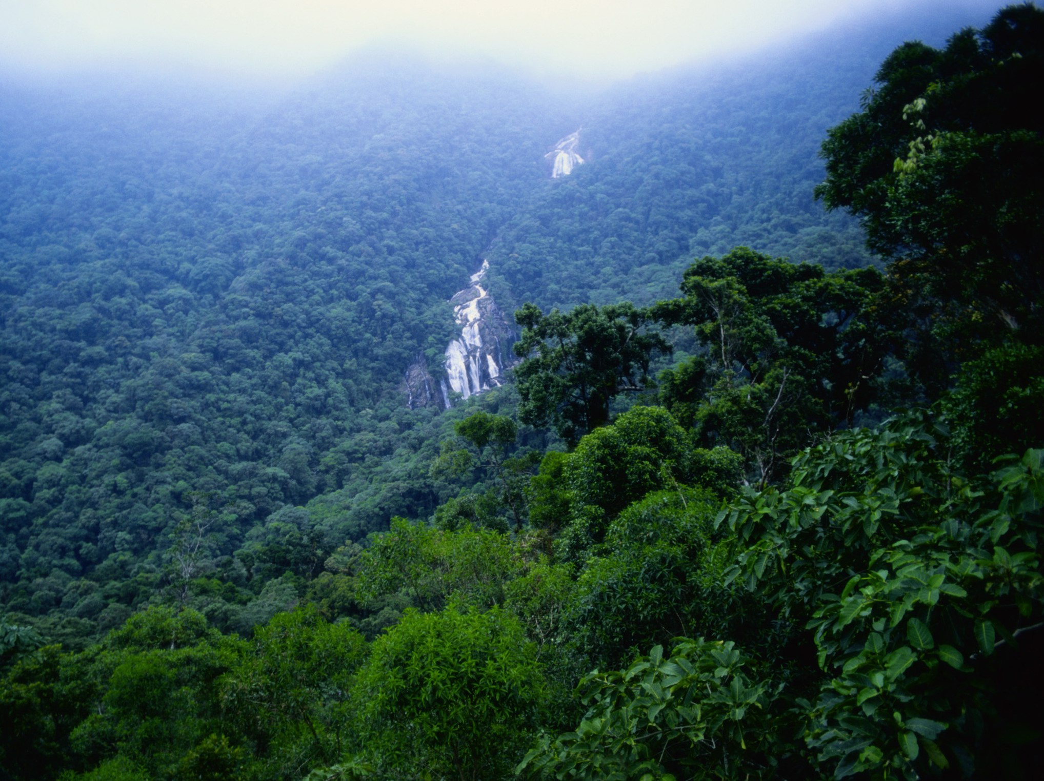 Неудивительно, что леса Амазонки остаются, по сути, белым пятном на карте мира / ©Getty Images