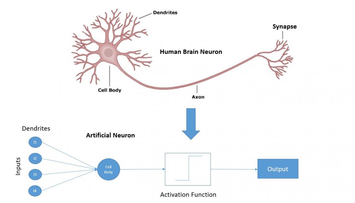 Схема искусственного нейрона / © MPLSVPN