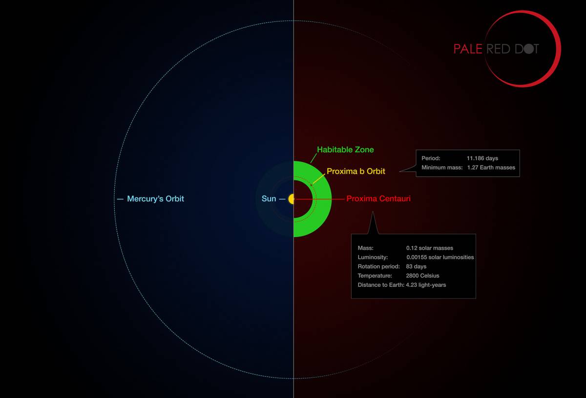 <span class=field-content nativeroll>Proxima b и ее звезда в сравнении с Солнцем и Меркурием / ©ESO</span>