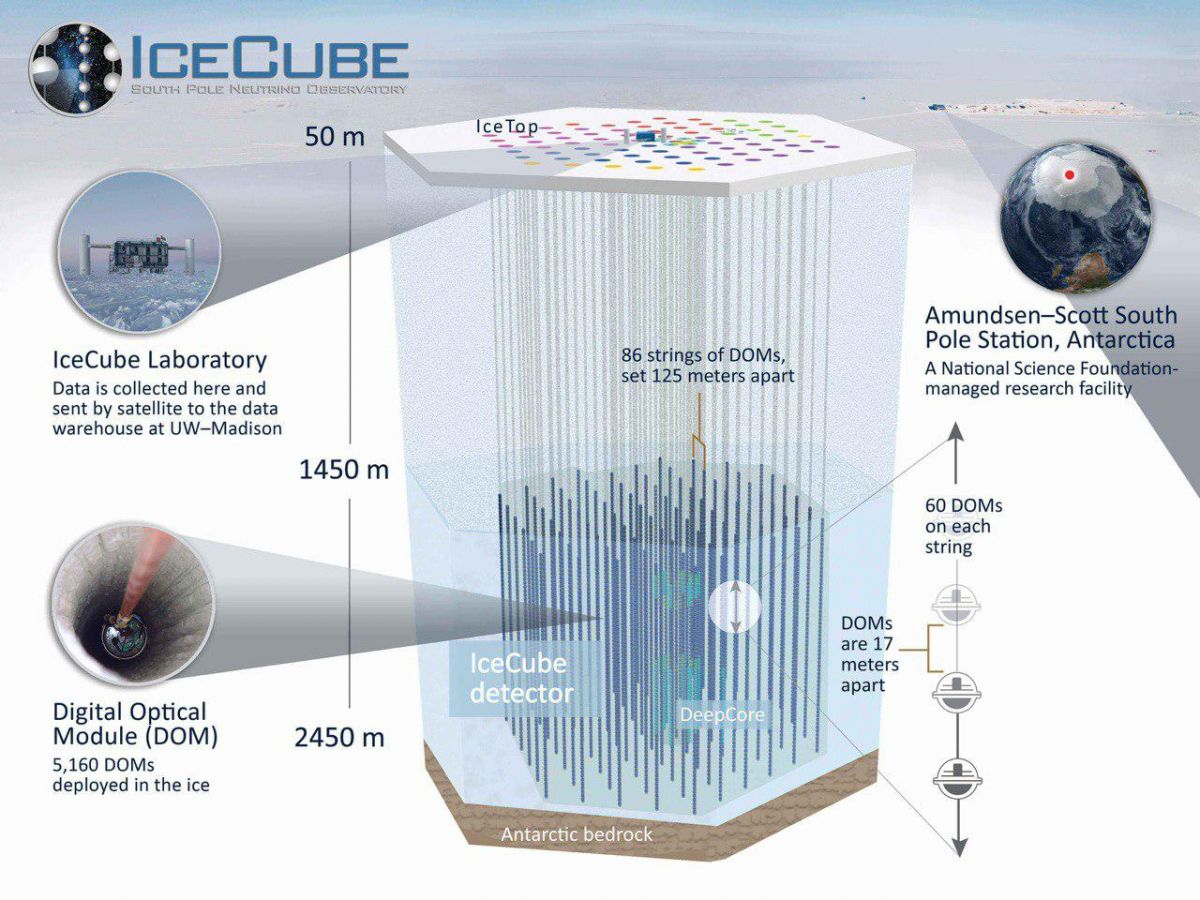 Устройство нейтринного детектора обсерватории IceCube