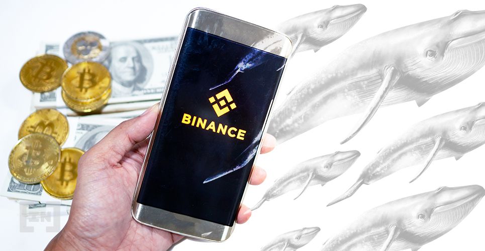 Binance Whale Bitcoin BTC