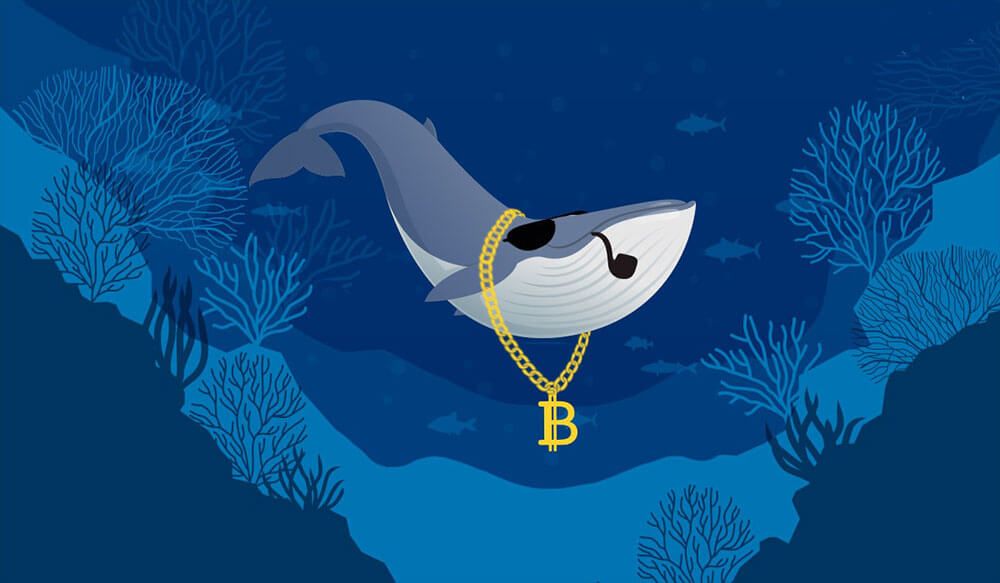 bitcoin-whale