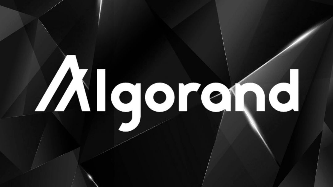 Algorand стартап криптовалюта