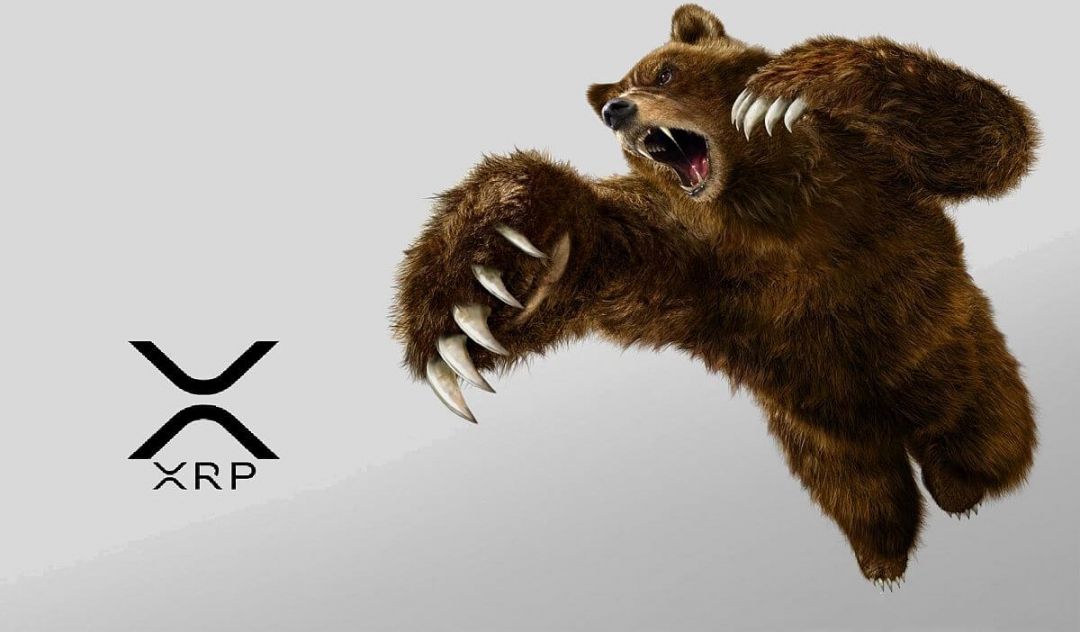 Bear XRP