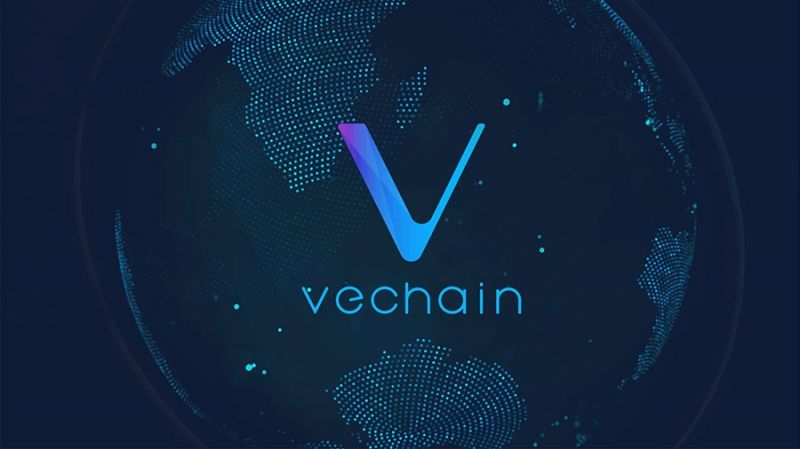 Producers Market внедрит блокчейн VeChain для отслеживания сельскохозяйственной продукции