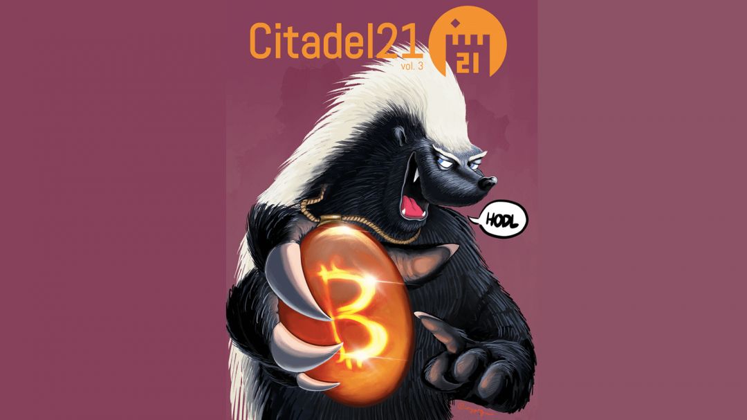 Новый выпуск Citadel 21