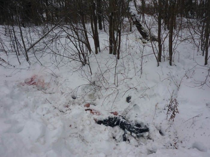 Соцсети: мужчина убил жену и себя в центре Нижнего Новгорода - фото 1