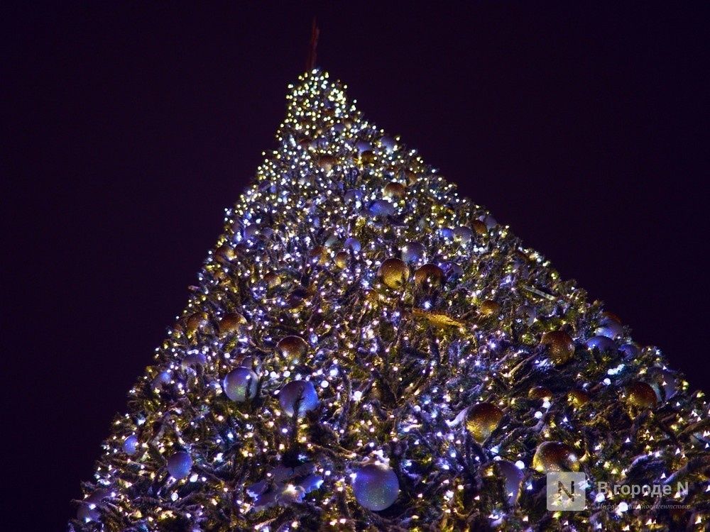 Нижегородское лесничество расскажет, где законно срубить новогоднюю ель - фото 1