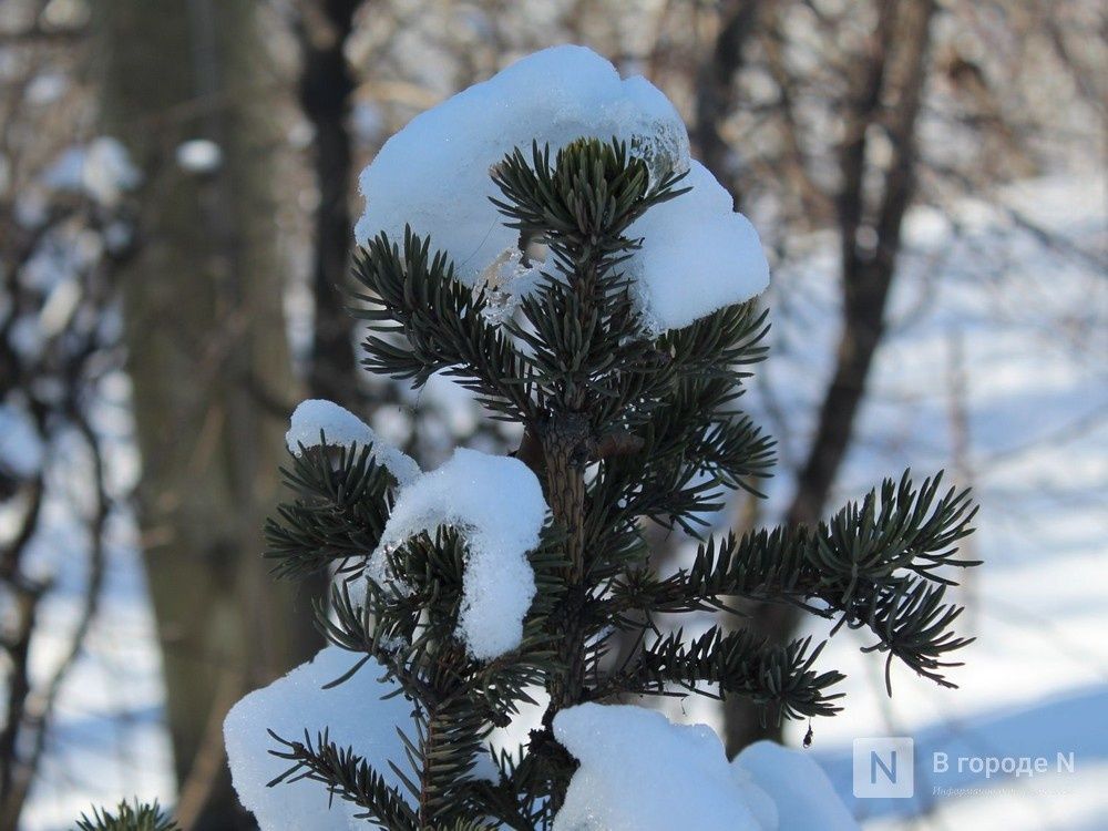Потепление до -3&deg;С и снегопады придут в Нижний Новгород - фото 1